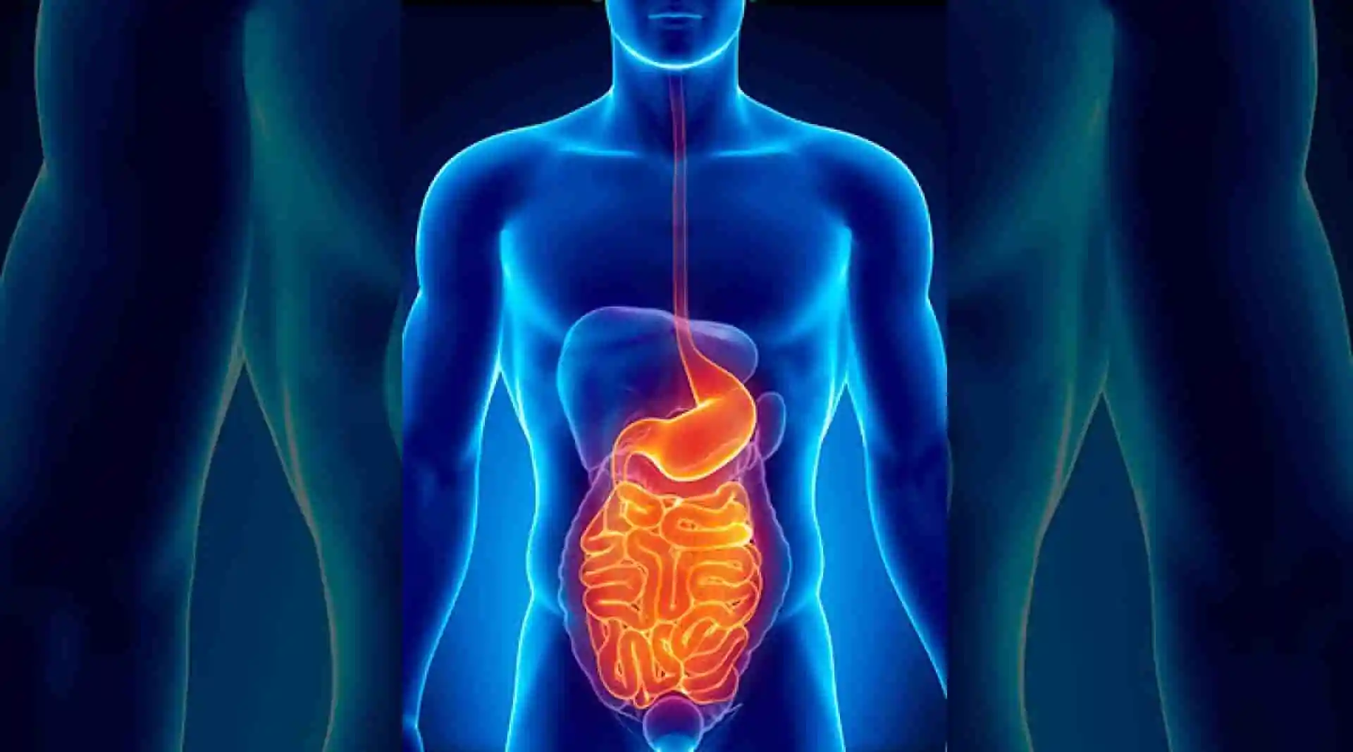 Gastroenterology